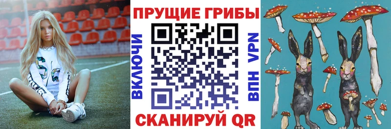 Псилоцибиновые грибы Psilocybe  МЕГА как зайти  Бирюсинск  что такое  